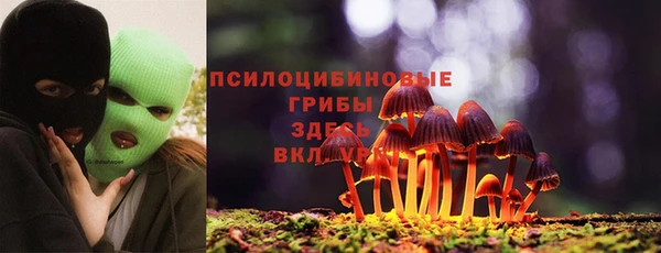 дживик Покачи