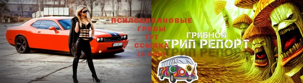 дурь Покров