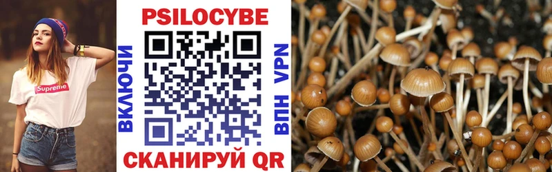 Галлюциногенные грибы MAGIC MUSHROOMS  Новотитаровская 
