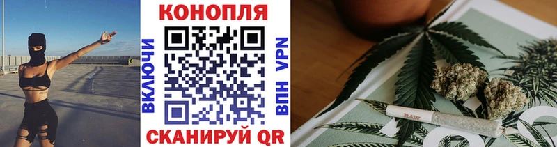 Каннабис индика Новотитаровская